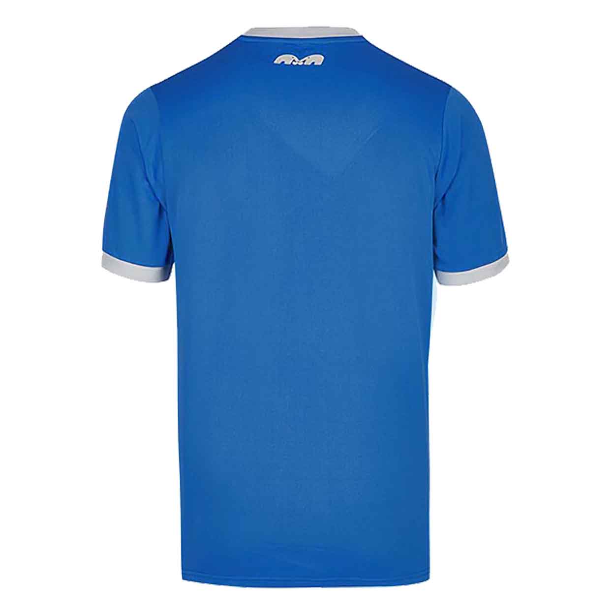 Back of the blue TK Short Sleeve Goalkeeping Jersey