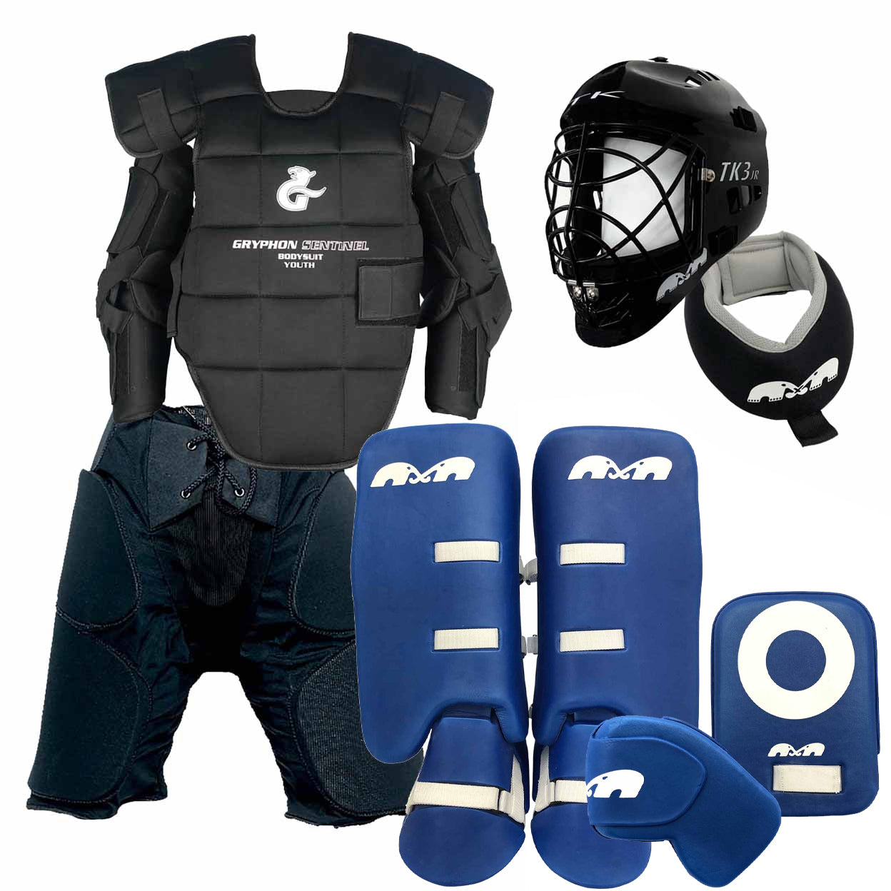Collection of hockey protective gear including a chest protector, helmet, shin guards, and gloves on a white background.