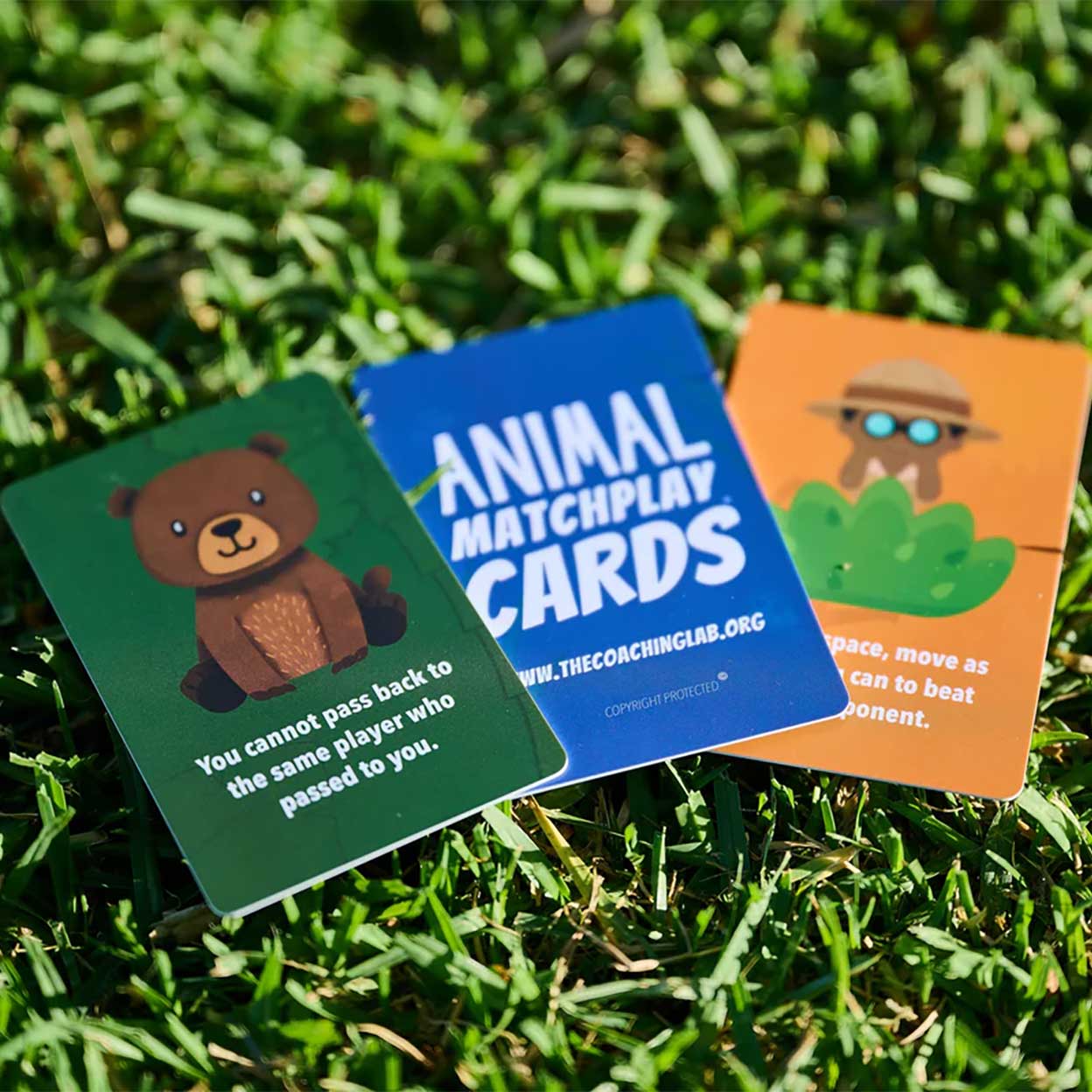 Animal MatchPlay Cards