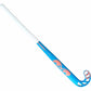 Blue and pink hockey stick on a white background