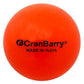 Orange Practice Field Hockey Ball 