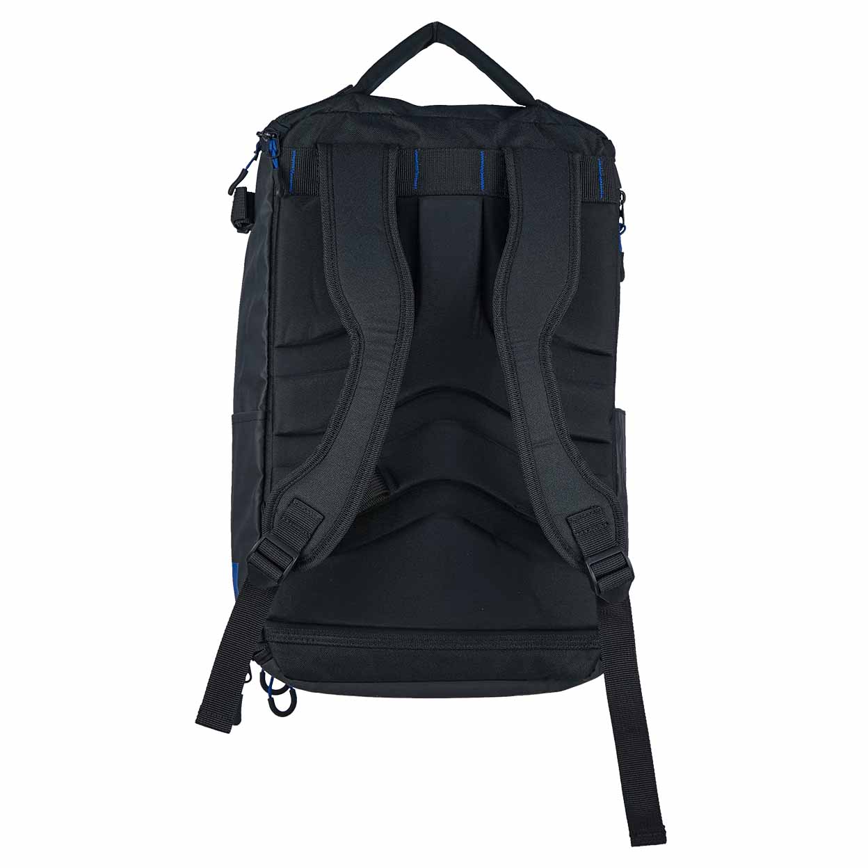 Black backpack shown from the back on a white background