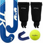 Blue hockey stick, black shin guards, blue holder, and yellow ball on a white background
